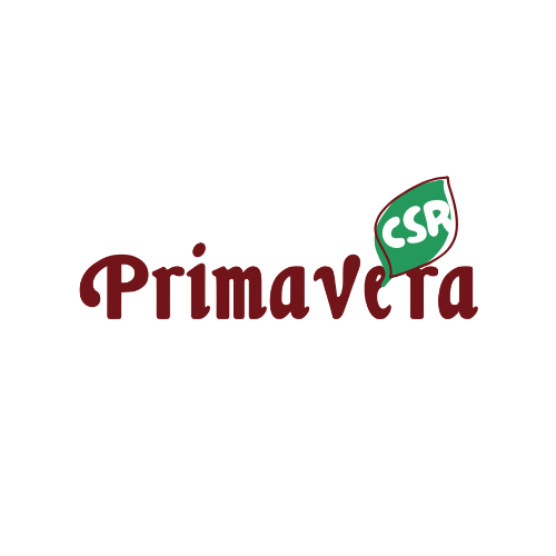 Self Photos / Files - Primavera Logo.png